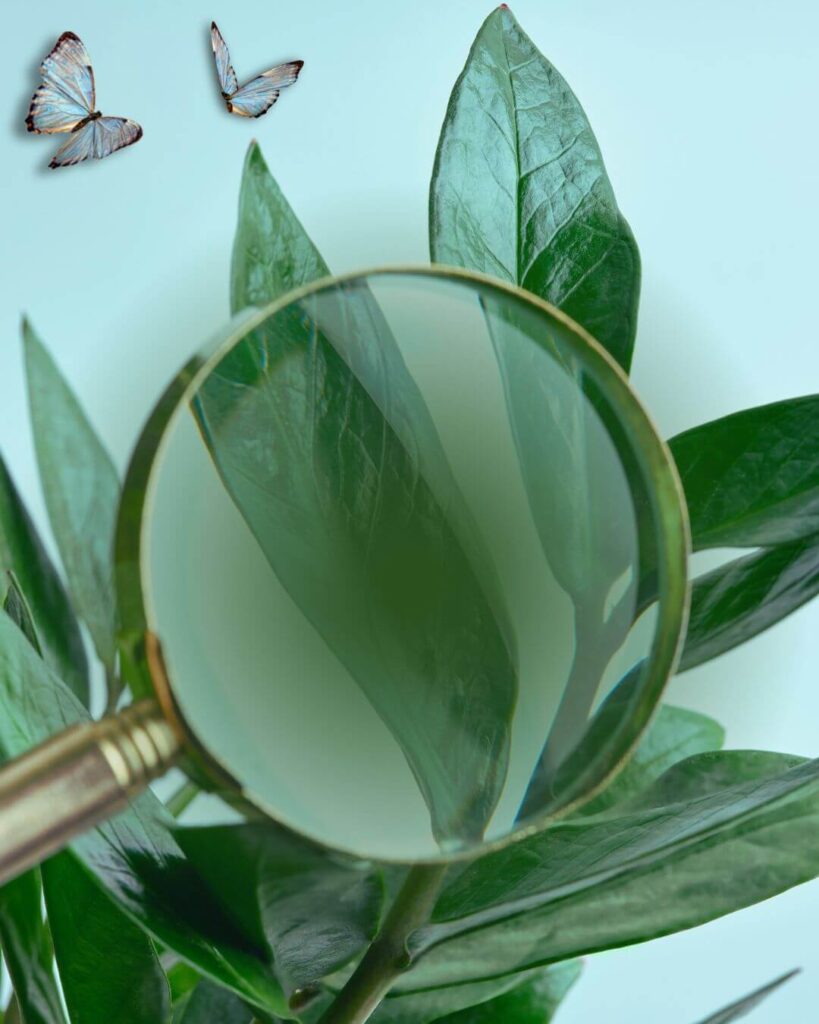 Reviews Meu Aspirador